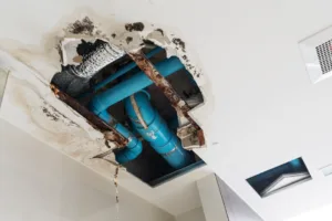 Damage home ceiling in restroom, water leak out from piping system make ceiling damaged