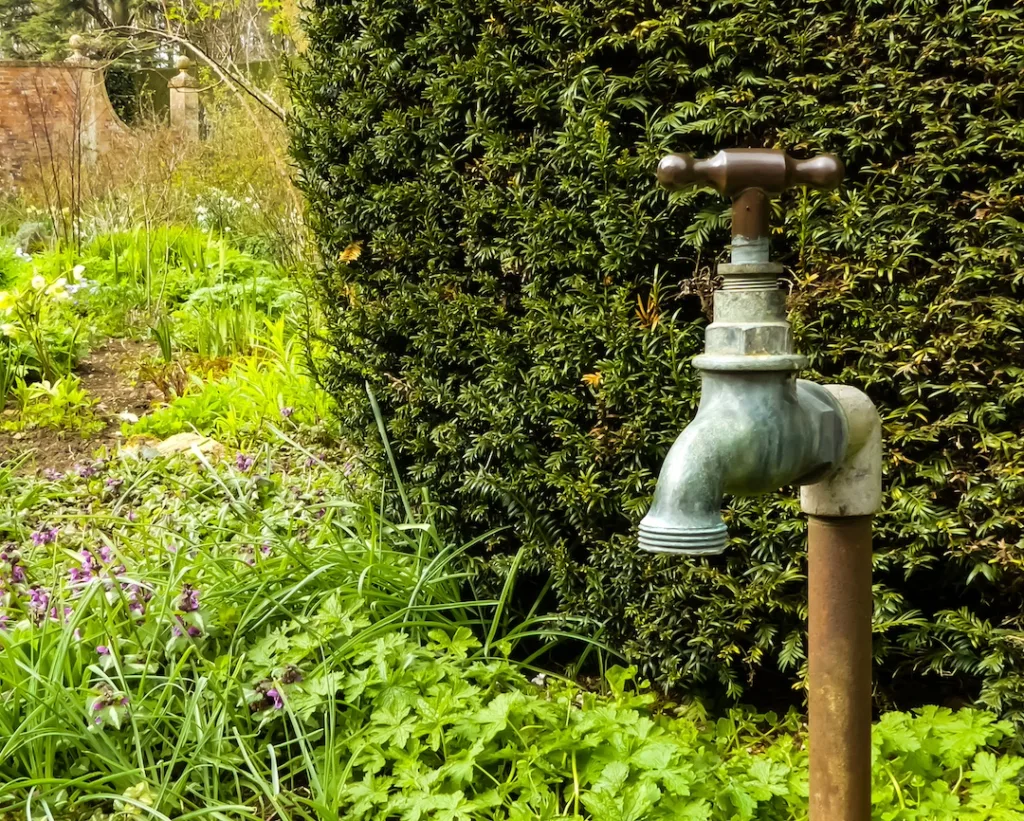 Close up of an outside patinated brass cold water tap and stand pipe.