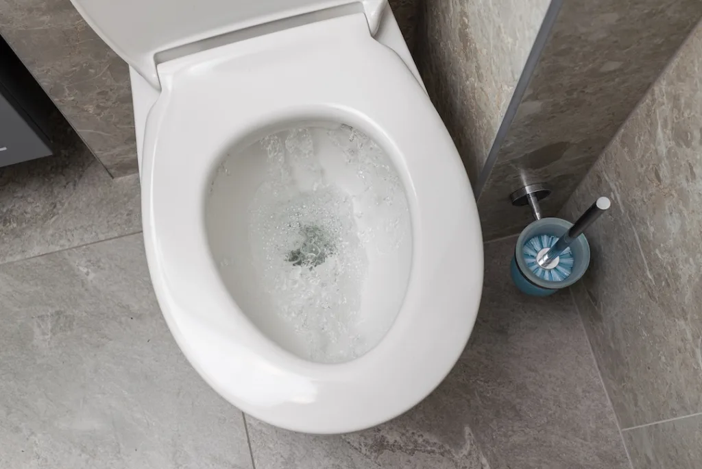 Water is running in the toilet in the bathroom, view from above.